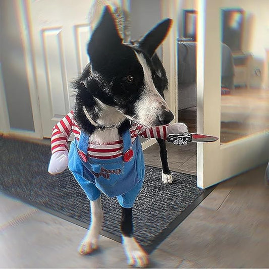 Halloween dräkt