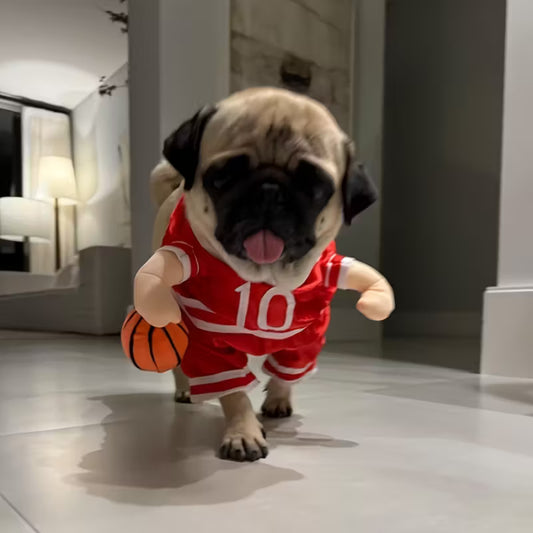 Basketboll dräkt